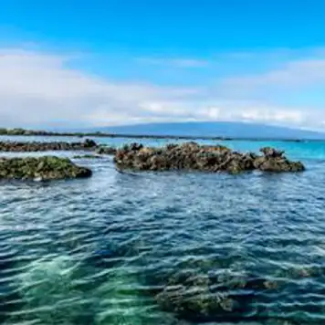 Image related to Elizabeth Bay, Isabela Island