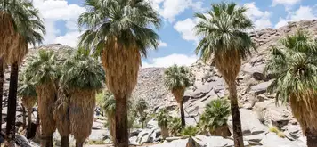 Image related to Indian Canyons