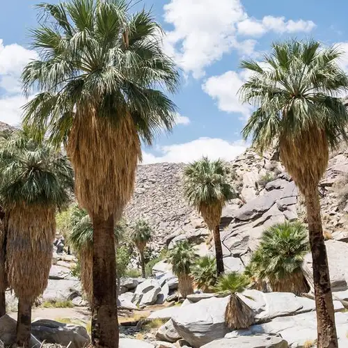 Image related to Indian Canyons