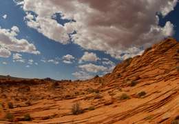 IgluCruise.Application.ViewModels.Shared.WebImageViewModel?.Description