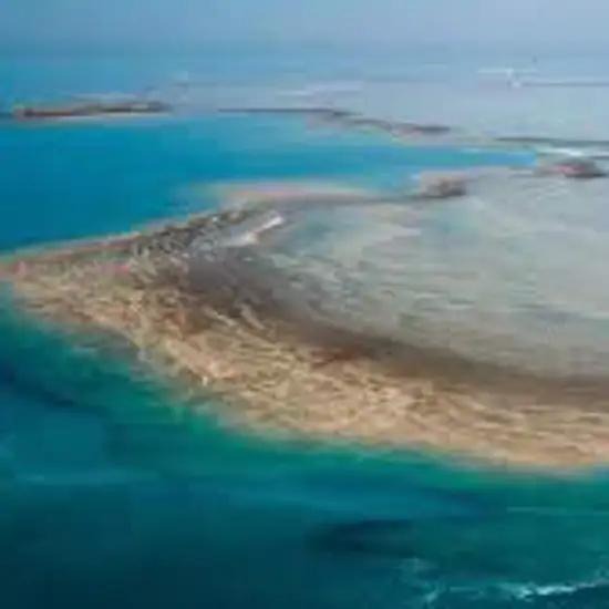 Image related to Montgomery Reef