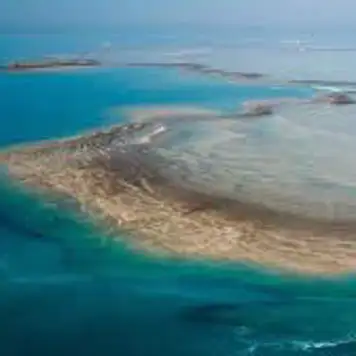 Image related to Montgomery Reef