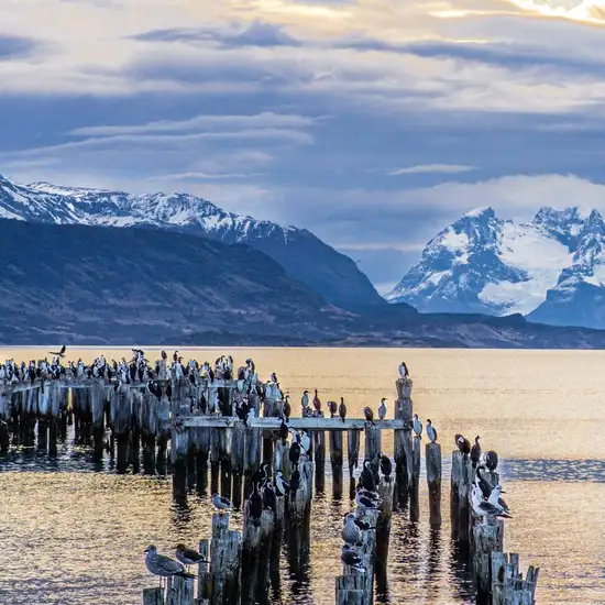 Image related to Puerto Natales - Overnight onboard