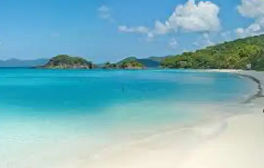 Image related to Trunk Bay