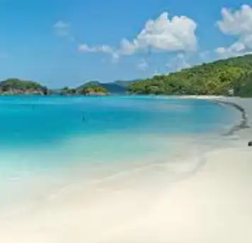 Image related to Trunk Bay