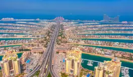 Image related to Image related to The Palm