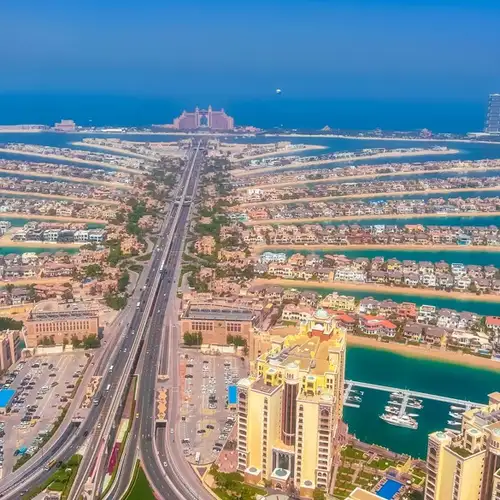 Image related to Image related to The Palm