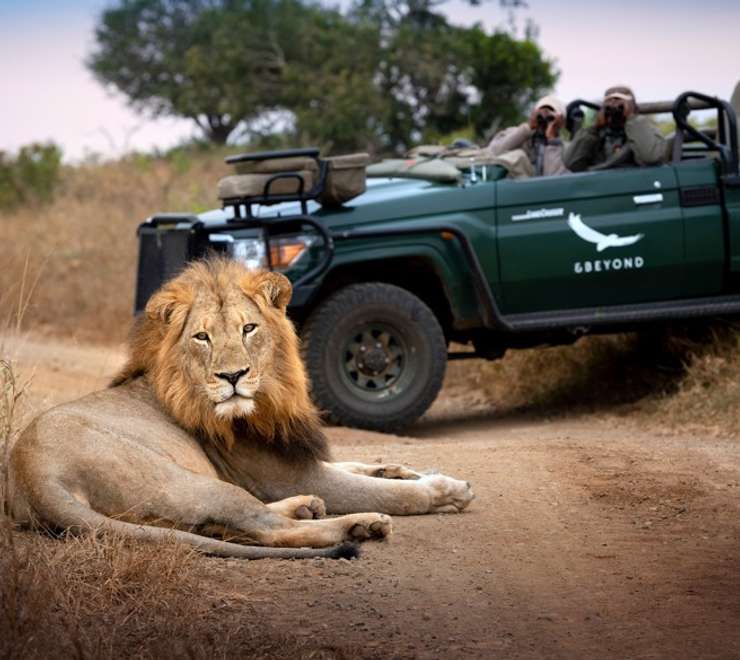 Kruger National Park - Game Drives