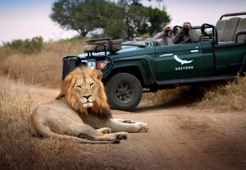 Kruger National Park - Game Drives
