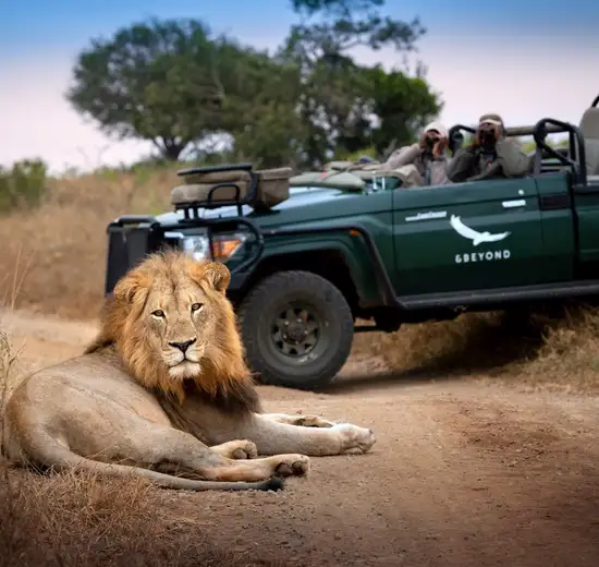 Image related to Kruger National Park - Game Drives