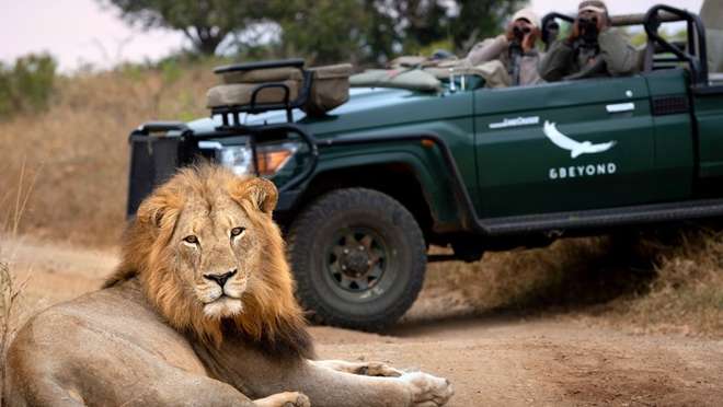 Kruger National Park - Game Drives