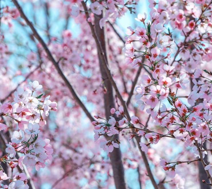 Port of Humanity Tsuruga Museum