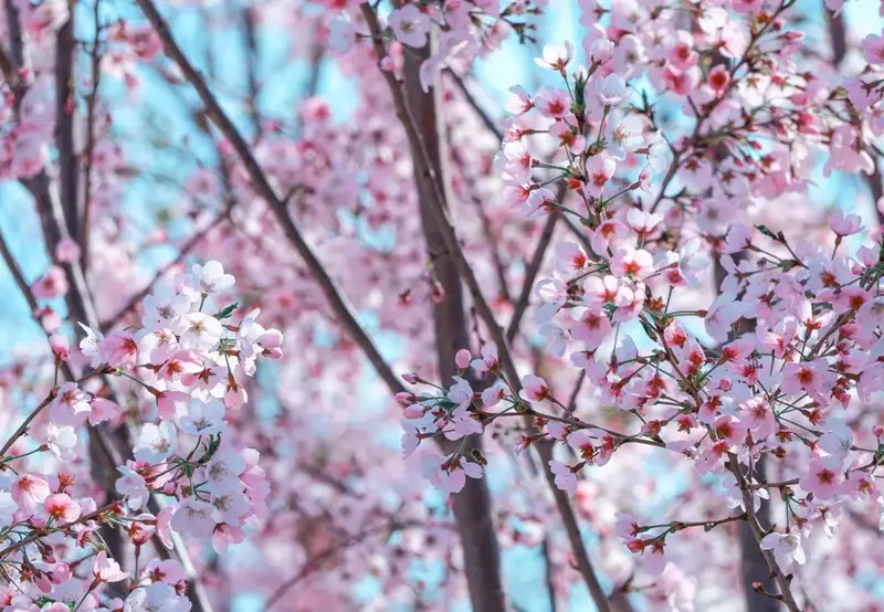 Port of Humanity Tsuruga Museum