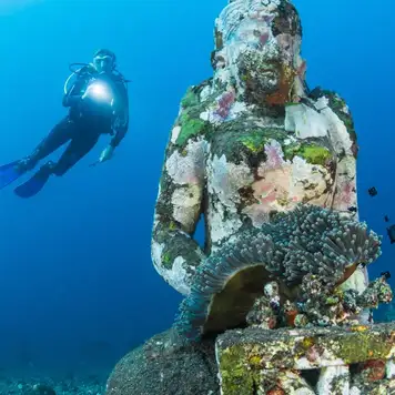 Image related to Underwater Sculptures 