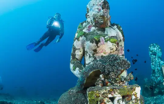 Image related to Underwater Sculptures 