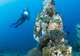 Underwater Sculptures 