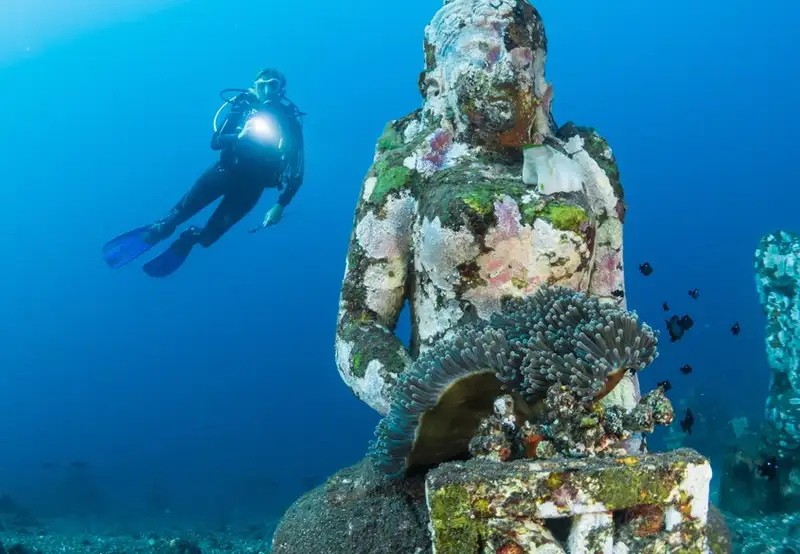 Image related to Underwater Sculptures 