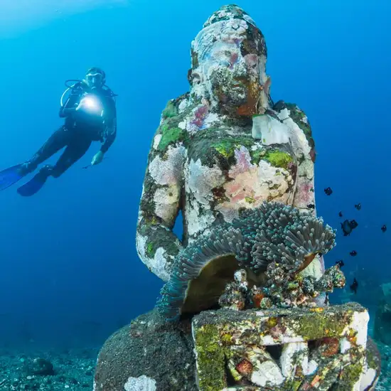 Image related to Underwater Sculptures 