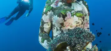 Image related to Underwater Sculptures 