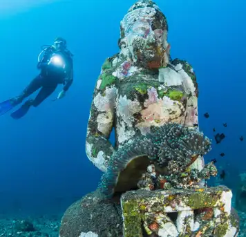 Image related to Underwater Sculptures 