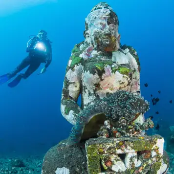 Image related to Underwater Sculptures 