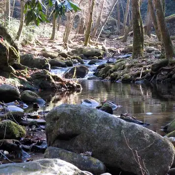 Image related to Corner Brook Stream Trail 