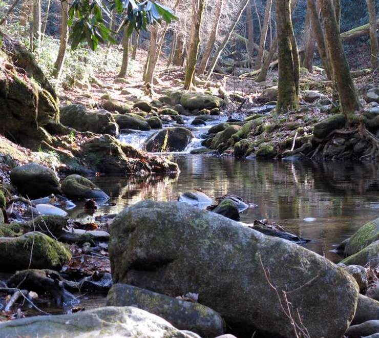 Corner Brook Stream Trail 
