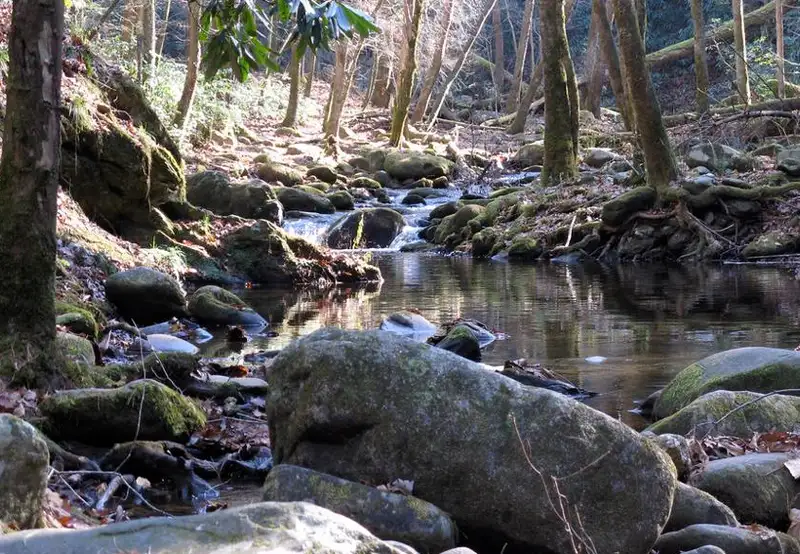 Corner Brook Stream Trail 