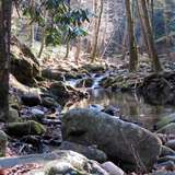 Corner Brook Stream Trail