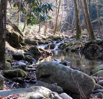 Corner Brook Stream Trail 