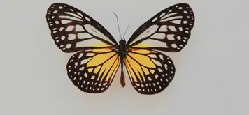 Image related to Lyman Museum