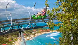 Image related to Dragon’s Tail Coaster