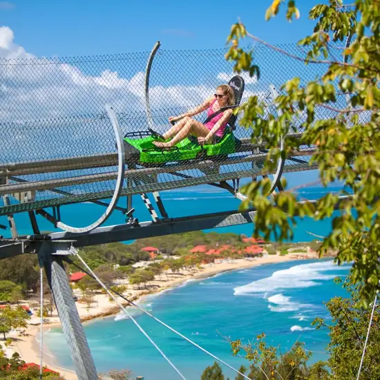 Image related to Dragon’s Tail Coaster