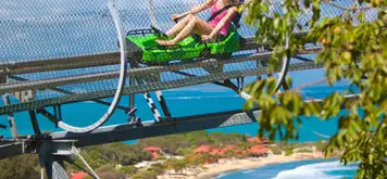 Image related to Image related to Dragon’s Tail Coaster