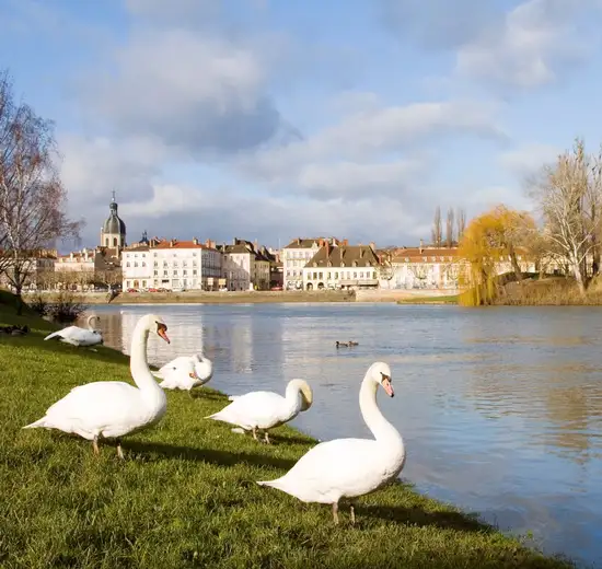 Image related to Chalon-sur-Saone