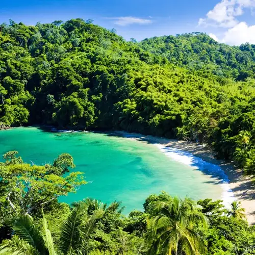 Image related to Tobago