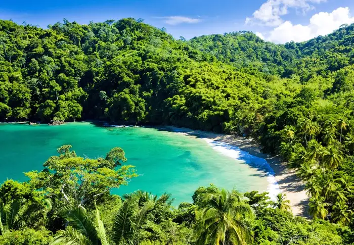 Photo of Day 64: Tobago