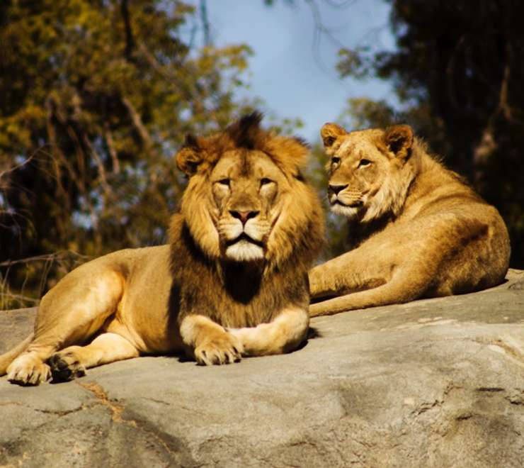 Shou Shan Zoo