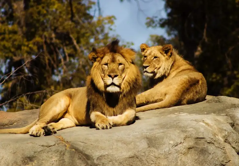 Shou Shan Zoo