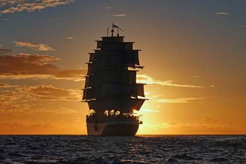 Image related to royal clipper at sunset
