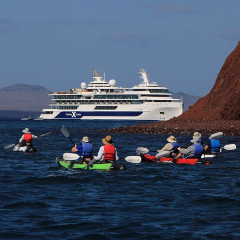 Celebrity Flora in the Galapagos