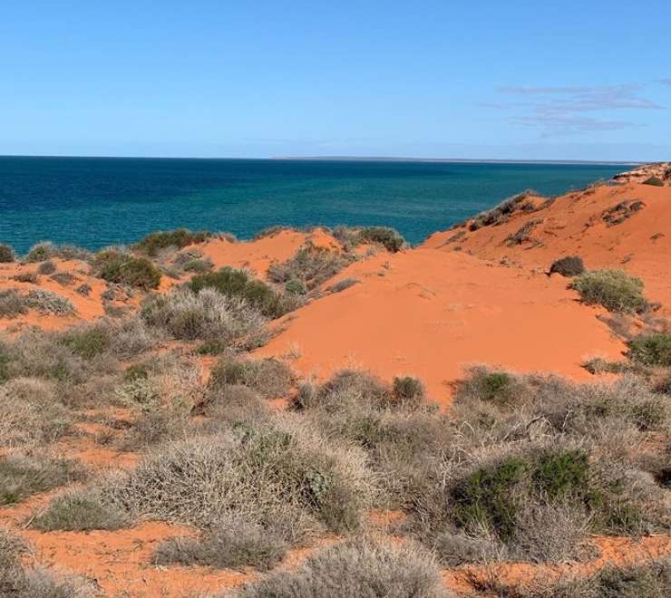 Cape Peron, Shark Bay