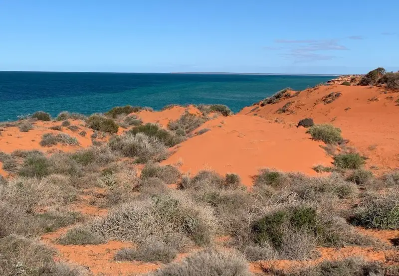 Cape Peron, Shark Bay