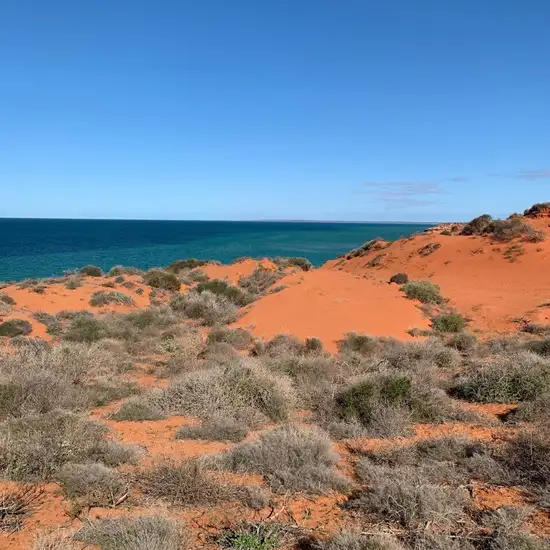 Cape Peron, Shark Bay