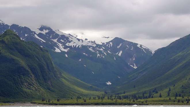 Yakutat Bay (Alaska)