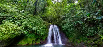 Parc National de la Guadeloupe