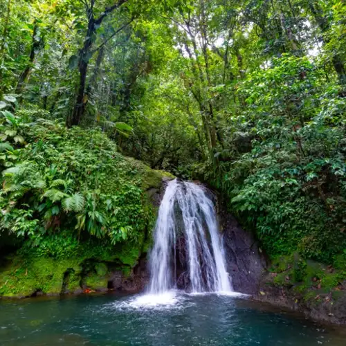 Image related to Parc National de la Guadeloupe