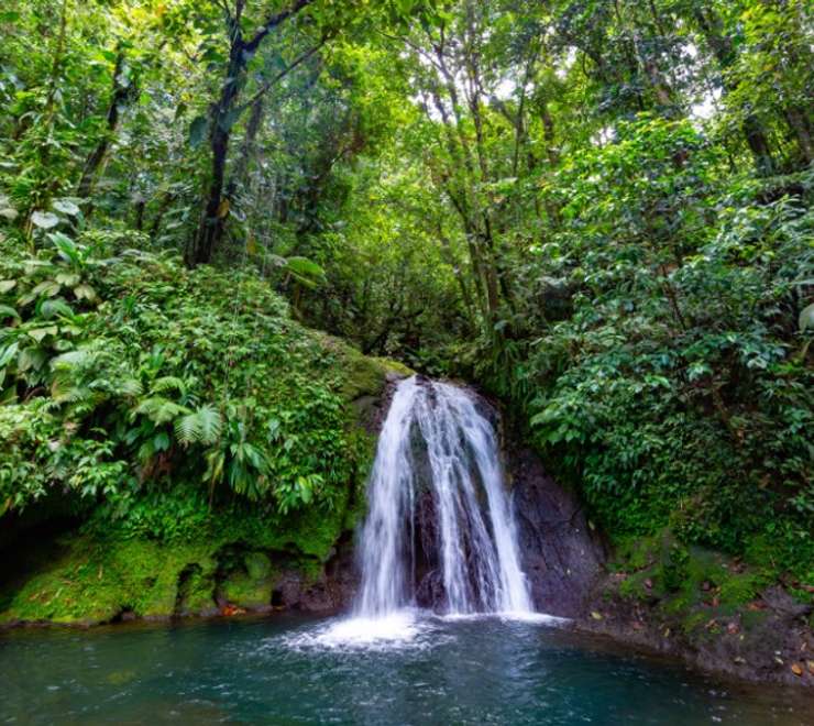 Parc National de la Guadeloupe