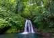 Parc National de la Guadeloupe