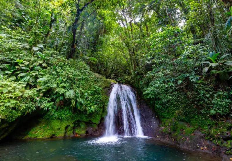 Parc National de la Guadeloupe